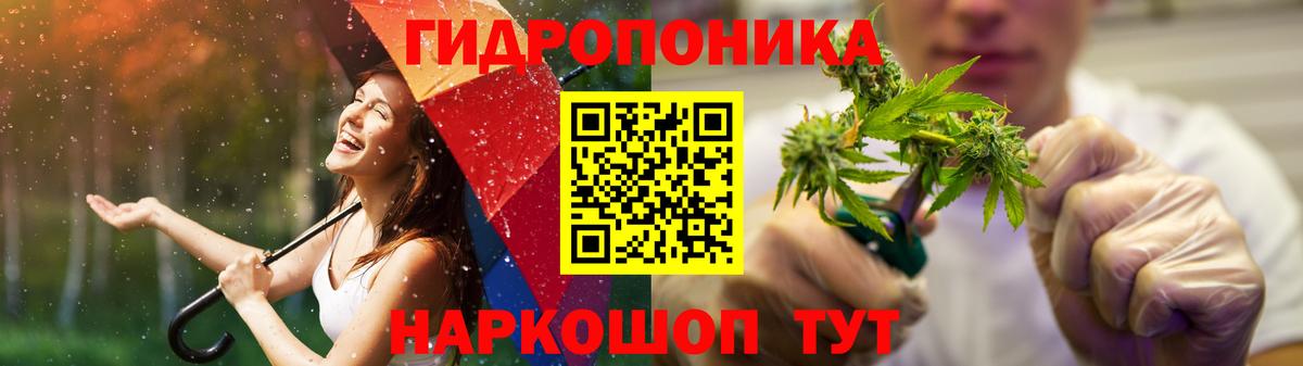 Кимовск  Канабис Bruce Banner  Шишки марихуана индика  Конопля тримм  Вход с VPN 
